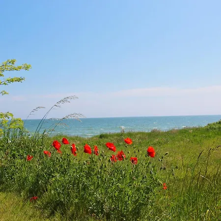 Rex Rugia Fewo15-8 Mit Schwimmbad Und Saunanutzung Im Ahoi-erlebnisbad Sellin Apartamento