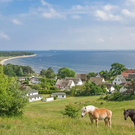 Rex Rugia Fewo15-8 Mit Schwimmbad Und Saunanutzung Im Ahoi-erlebnisbad Sellin Daire
